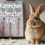 Alarmzeichen bei deinem Kaninchen: Kaninchen Schmerzen erkennen und handeln!